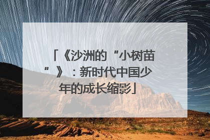 《沙洲的“小树苗”》：新时代中国少年的成长缩影