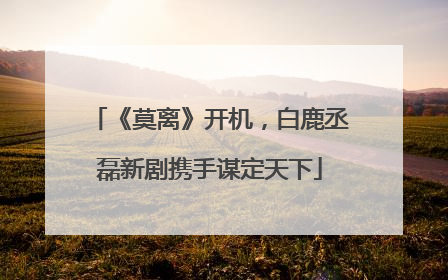 《莫离》开机，白鹿丞磊新剧携手谋定天下