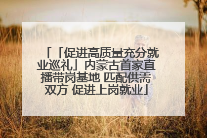 「促进高质量充分就业巡礼」内蒙古首家直播带岗基地 匹配供需双方 促进上岗就业