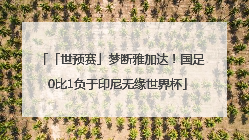 「世预赛」梦断雅加达！国足0比1负于印尼无缘世界杯