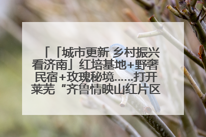 「城市更新 乡村振兴看济南」红培基地+野奢民宿+玫瑰秘境……打开莱芜“齐鲁情映山红片区”的破圈秘籍