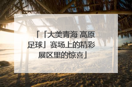 「大美青海 高原足球」赛场上的精彩 展区里的惊喜