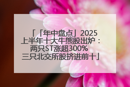 「年中盘点」2025上半年十大牛熊股出炉：两只ST涨超300% 三只北交所股挤进前十