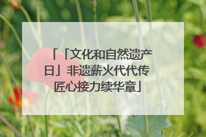 「文化和自然遗产日」非遗薪火代代传 匠心接力续华章