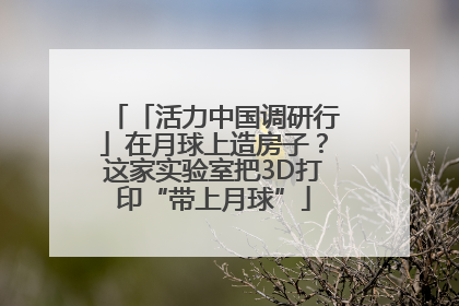 「活力中国调研行」在月球上造房子？这家实验室把3D打印“带上月球”