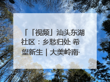 「视频」汕头东湖社区：乡愁归处 希望新生｜大美岭南·百村焕新记