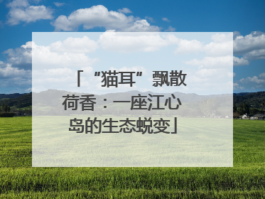 “猫耳”飘散荷香：一座江心岛的生态蜕变
