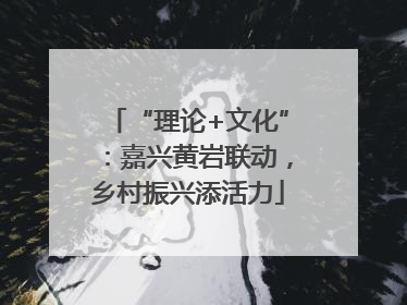 “理论+文化”：嘉兴黄岩联动，乡村振兴添活力