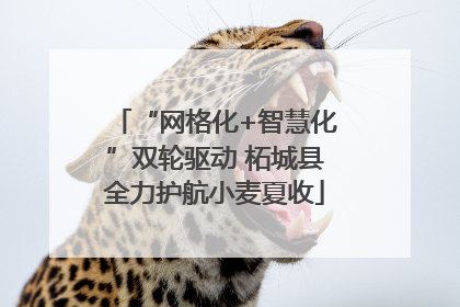 “网格化+智慧化”双轮驱动 柘城县全力护航小麦夏收
