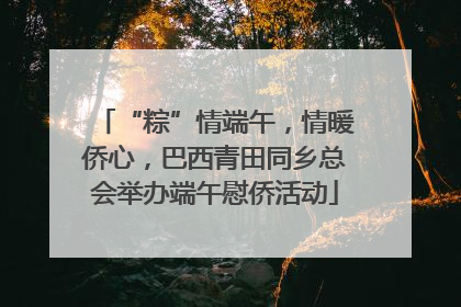 “粽”情端午，情暖侨心，巴西青田同乡总会举办端午慰侨活动