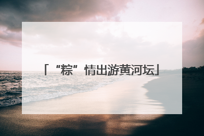 “粽”情出游黄河坛