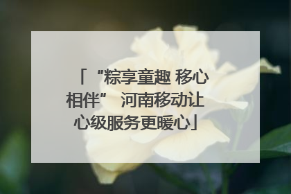“粽享童趣 移心相伴” 河南移动让心级服务更暖心