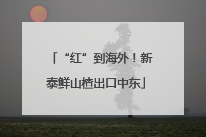 “红”到海外！新泰鲜山楂出口中东