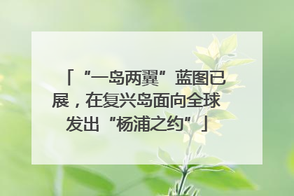 “一岛两翼”蓝图已展，在复兴岛面向全球发出“杨浦之约”