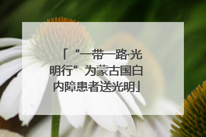 “一带一路·光明行”为蒙古国白内障患者送光明