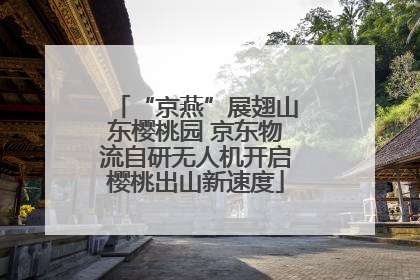 “京燕”展翅山东樱桃园 京东物流自研无人机开启樱桃出山新速度