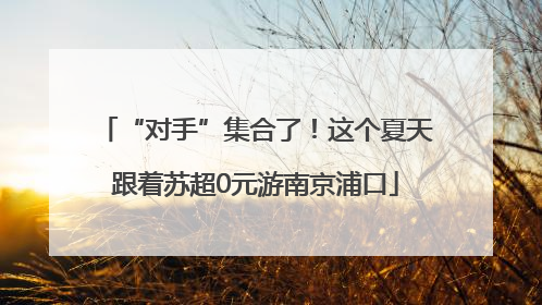 “对手”集合了！这个夏天跟着苏超0元游南京浦口
