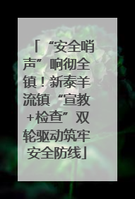 “安全哨声”响彻全镇！新泰羊流镇“宣教+检查”双轮驱动筑牢安全防线