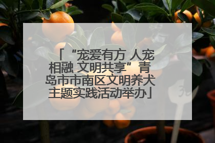 “宠爱有方 人宠相融 文明共享”青岛市市南区文明养犬主题实践活动举办