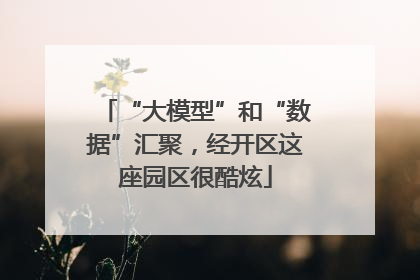 “大模型”和“数据”汇聚，经开区这座园区很酷炫
