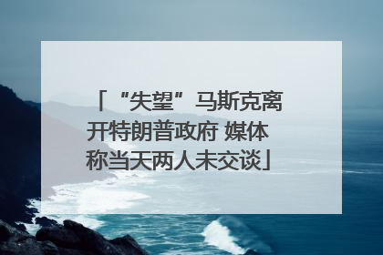 “失望”马斯克离开特朗普政府 媒体称当天两人未交谈