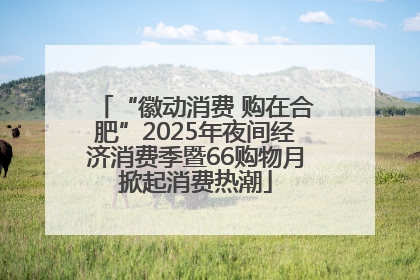 “徽动消费 购在合肥”2025年夜间经济消费季暨66购物月掀起消费热潮