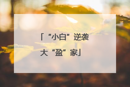 “小白”逆袭大“盈”家
