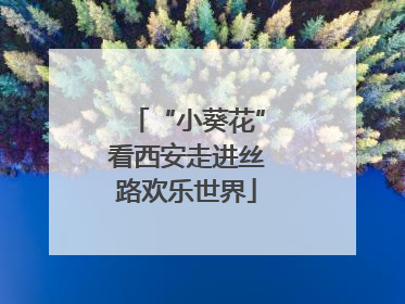“小葵花”看西安走进丝路欢乐世界