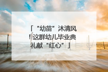 “幼苗”沐清风！这群幼儿毕业典礼献“红心”