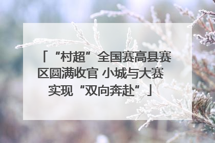 “村超”全国赛高县赛区圆满收官 小城与大赛实现“双向奔赴”