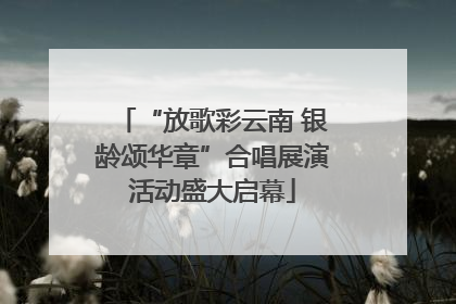 “放歌彩云南 银龄颂华章”合唱展演活动盛大启幕