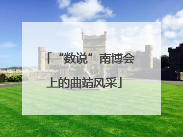 “数说”南博会上的曲靖风采