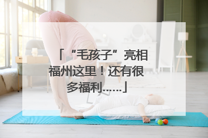 “毛孩子”亮相福州这里！还有很多福利……
