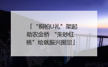 “桐柏U礼”架起助农金桥 “朱砂红桃”绘就振兴图景