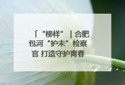 “榜样”｜合肥包河“护未”检察官 打造守护青春成长的永恒灯塔