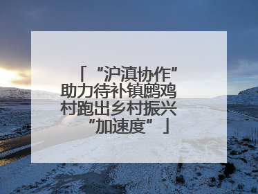 “沪滇协作”助力待补镇鹧鸡村跑出乡村振兴“加速度”