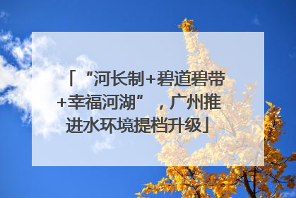 “河长制+碧道碧带+幸福河湖”，广州推进水环境提档升级