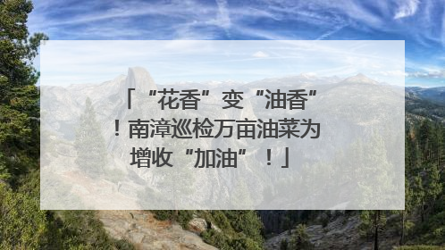 “花香”变“油香”！南漳巡检万亩油菜为增收“加油”！
