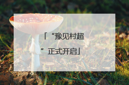 “豫见村超”正式开启