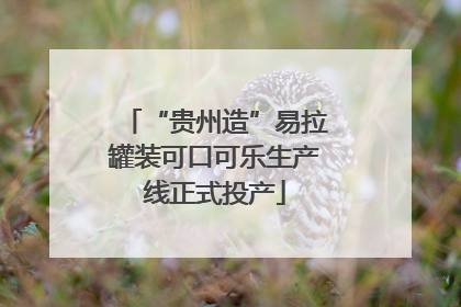 “贵州造”易拉罐装可口可乐生产线正式投产