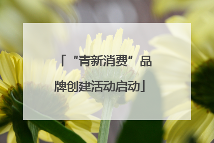 “青新消费”品牌创建活动启动