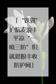 “铁翼”护航麦浪丰 平凉“一喷三防”织就夏粮丰收防护网