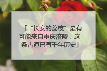 “长安的荔枝”最有可能来自重庆涪陵，这条古道已有千年历史