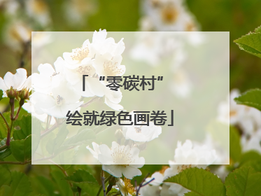 “零碳村” 绘就绿色画卷