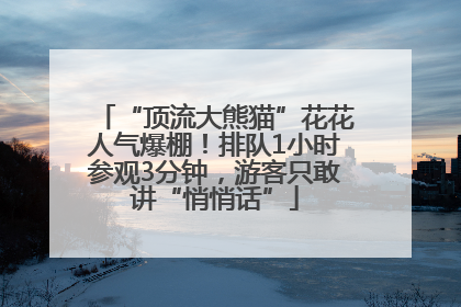“顶流大熊猫”花花人气爆棚！排队1小时参观3分钟，游客只敢讲“悄悄话”