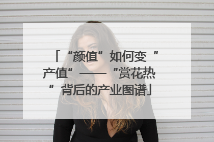 “颜值”如何变“产值”——“赏花热”背后的产业图谱