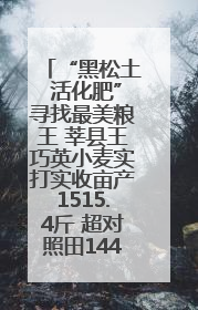 “黑松土 活化肥”寻找最美粮王 莘县王巧英小麦实打实收亩产1515.4斤 超对照田144斤！