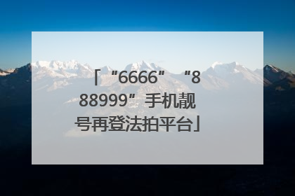 “6666”“888999”手机靓号再登法拍平台