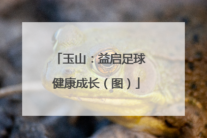 玉山：益启足球 健康成长（图）