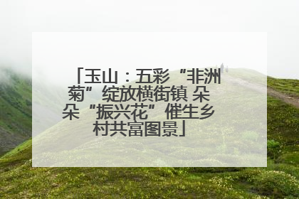 玉山：五彩“非洲菊”绽放横街镇 朵朵“振兴花”催生乡村共富图景